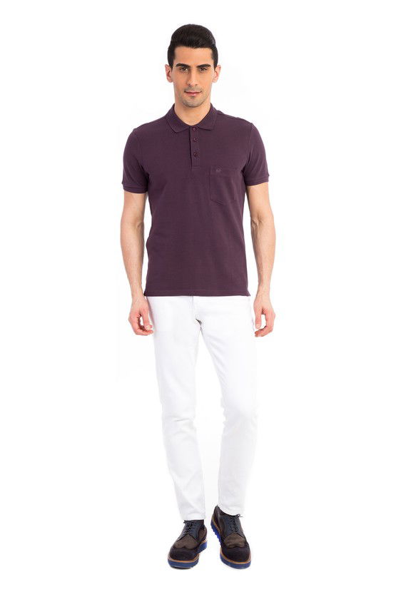 Erkek Giyim - Regular Fit Polo Yaka Tişört