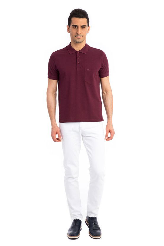 Erkek Giyim - Regular Fit Polo Yaka Tişört