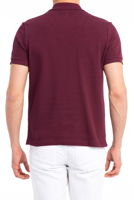 Erkek Giyim - Regular Fit Polo Yaka Tişört