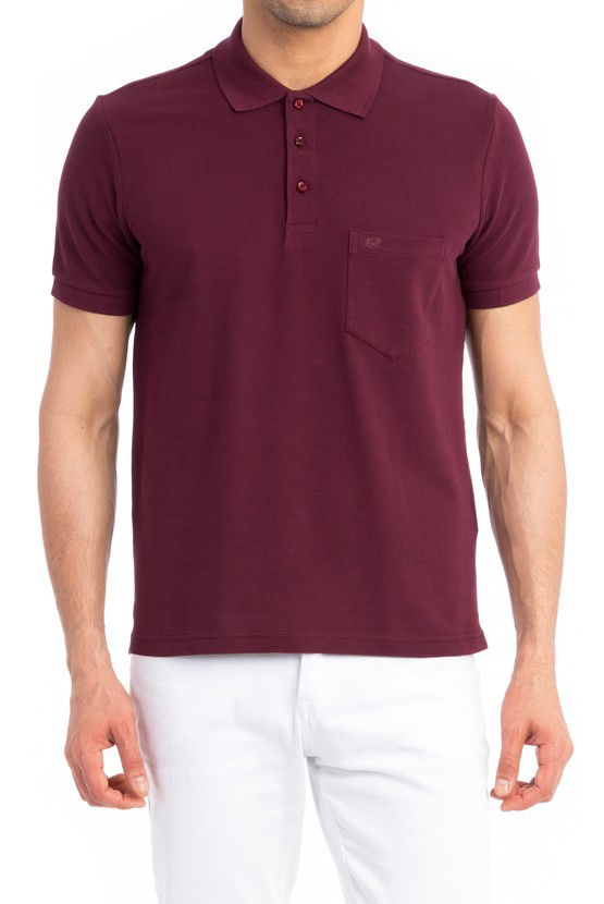 Erkek Giyim - Regular Fit Polo Yaka Tişört