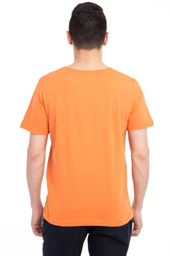 Erkek Giyim - Bisiklet Yaka Nakışlı Regular Fit Tişört