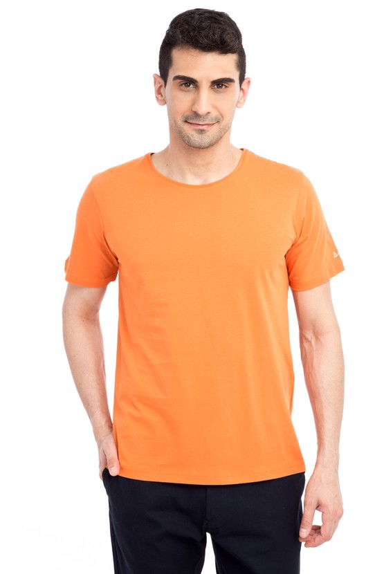 Erkek Giyim - Bisiklet Yaka Nakışlı Regular Fit Tişört