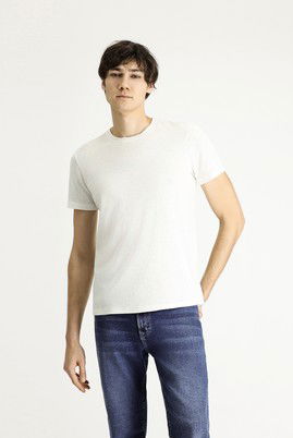 Bisiklet Yaka Slim Fit Dar Kesim Keten Tişört