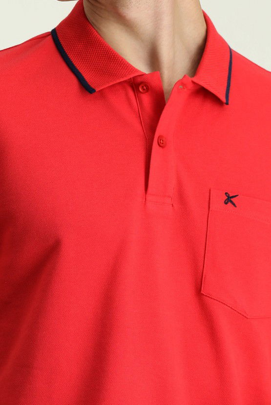 Erkek Giyim - Slim Fit Dar Kesim Desenli Nakışlı Pamuk Polo Yaka Tişört