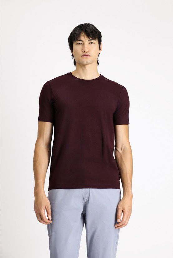 Erkek Giyim - Bisiklet Yaka Slim Fit Dar Kesim Pamuklu Tişört
