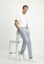  LACİ-BEYAZ  Regular Fit Likralı Çizgili Pileli Kanvas / Chino Pantolon