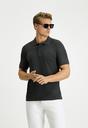  KOYU ANTRASİT  Slim Fit Dar Kesim Pamuk Polo Yaka Tişört